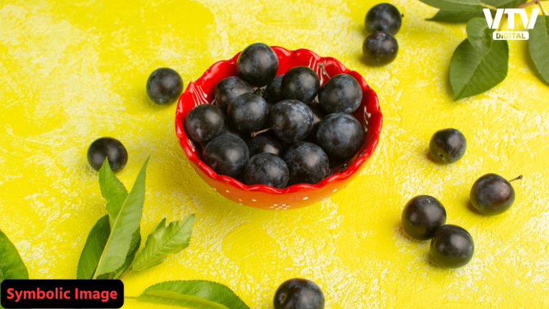 jamun fruit (10)