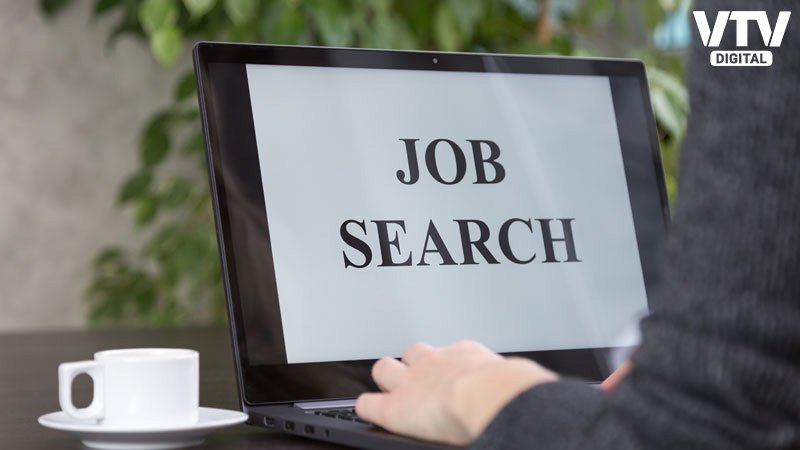 job-serch