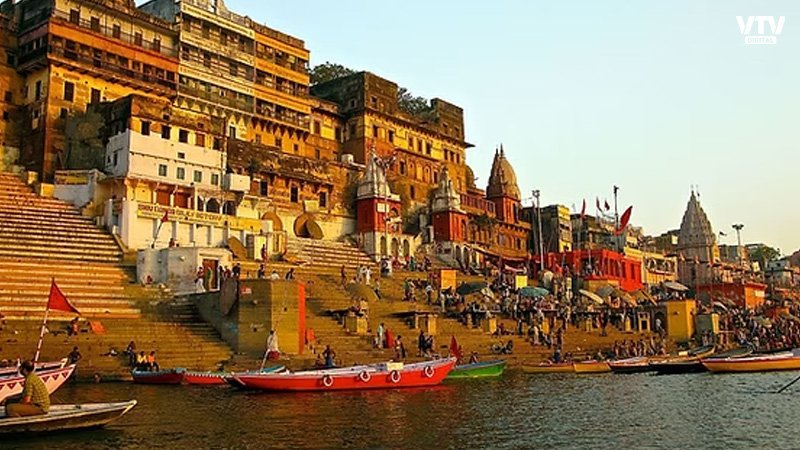 kashi-2