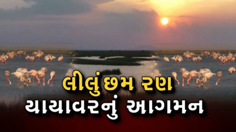 article-logo