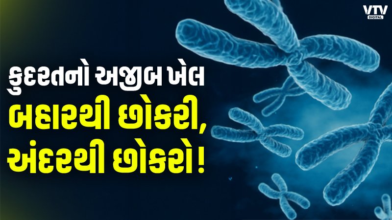 article-logo