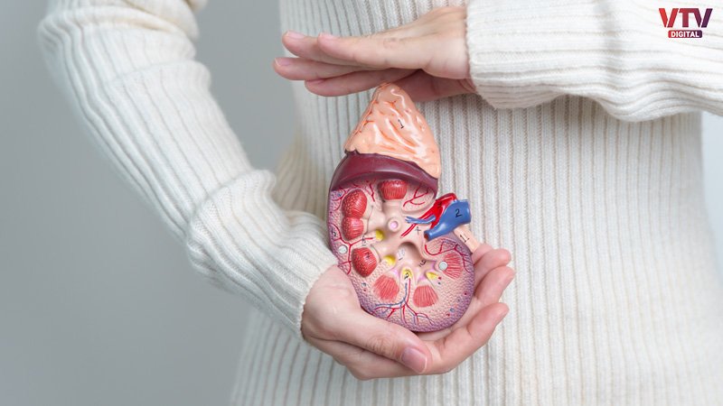 kidney-damage-1