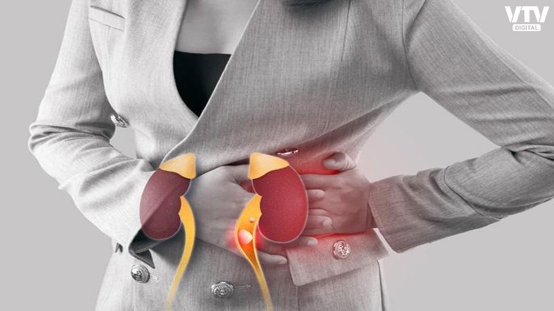 kidney-final