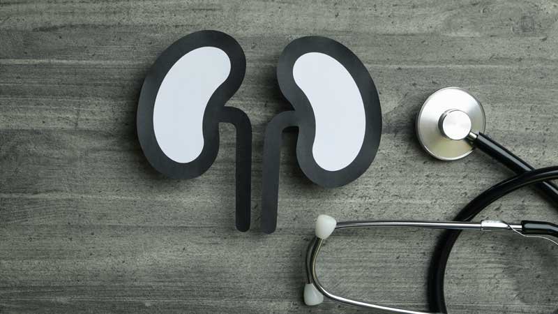 kidney.jpg