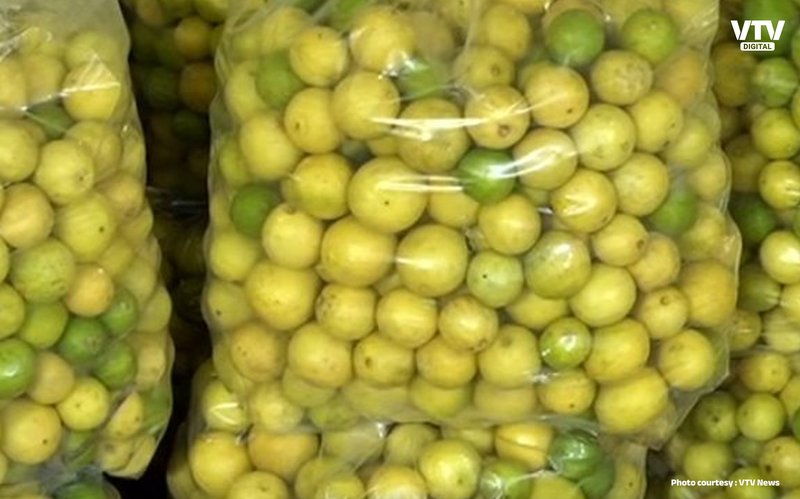 lemon-2