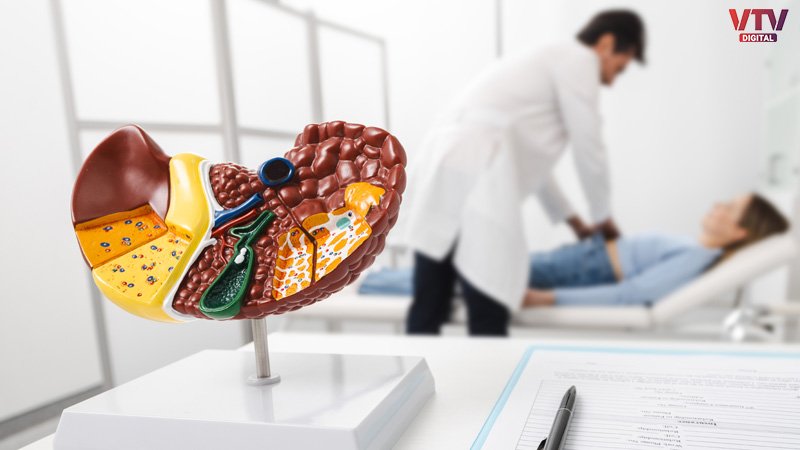 liver-final