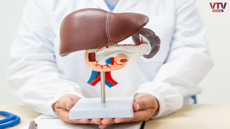 liver