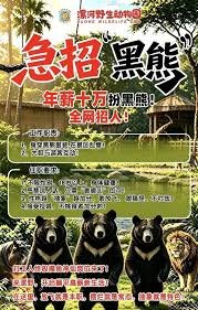 Job in zoo chin (1)
