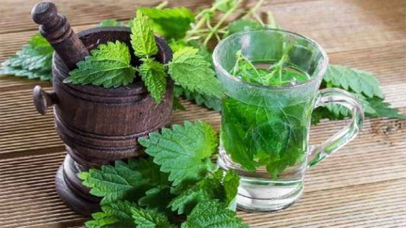 mint_0