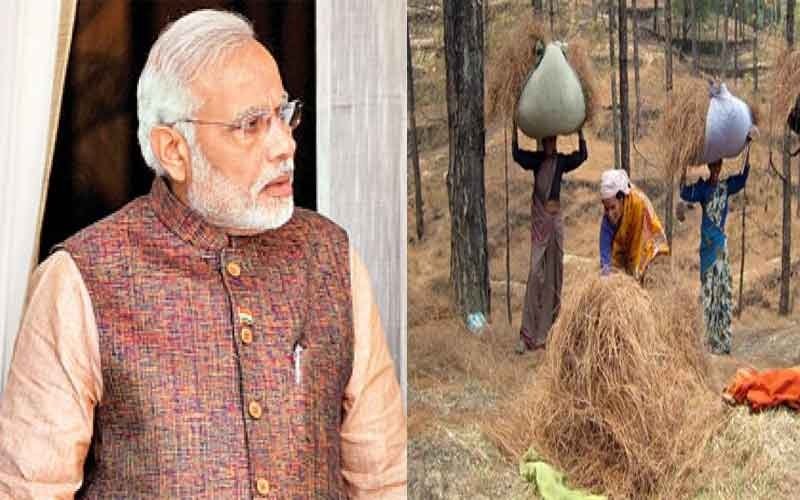 narendra-modi-jacket-uttarakhand-cheed-tree