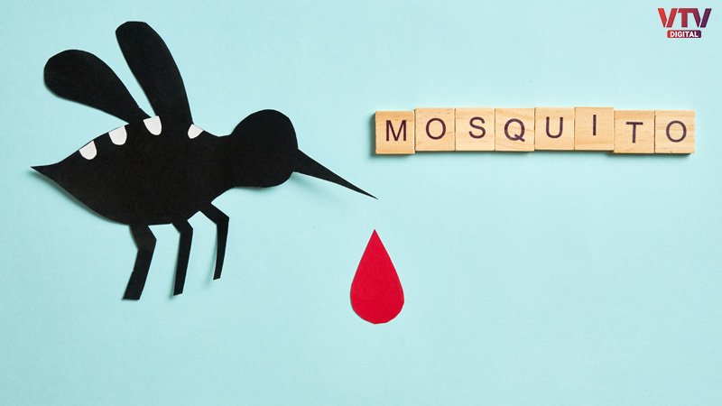 mosqito