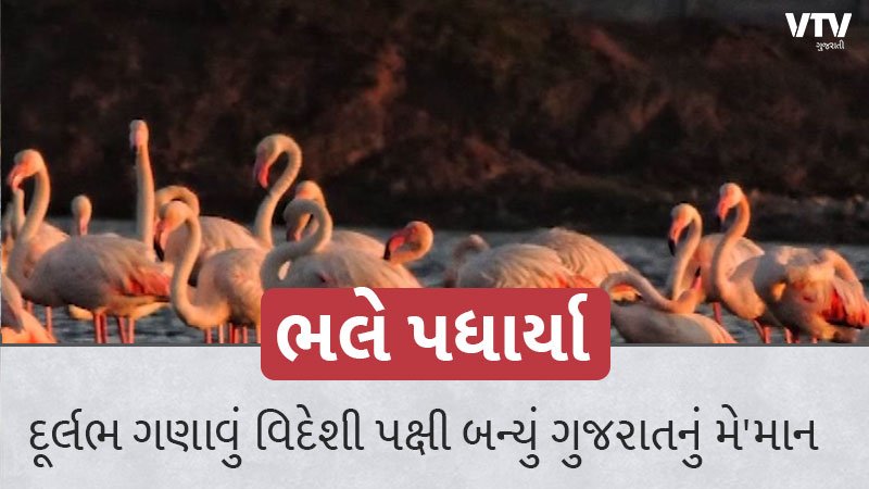 article-logo
