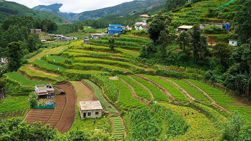 munnar-2