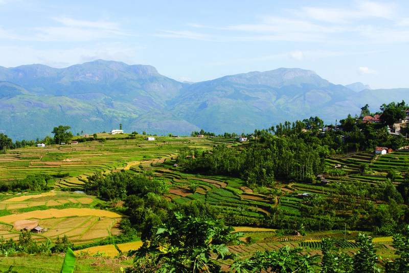 munnar 1