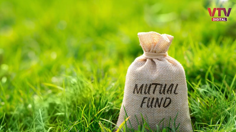 mutual-fund-new-lolgo