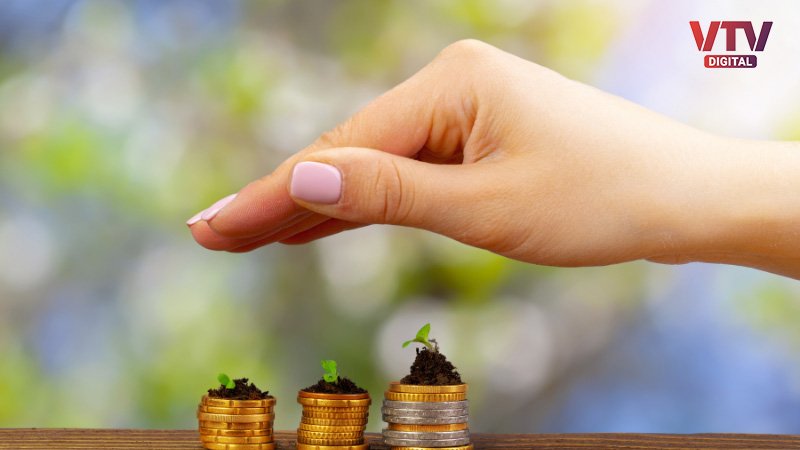 mutual-fund