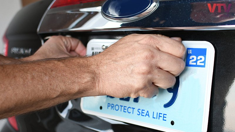 number-plate-6