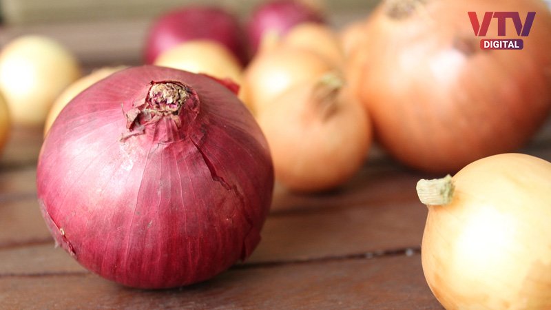 onion-1