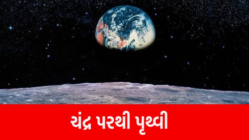 article-logo