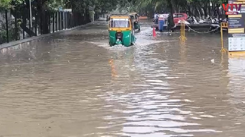 pani-srt