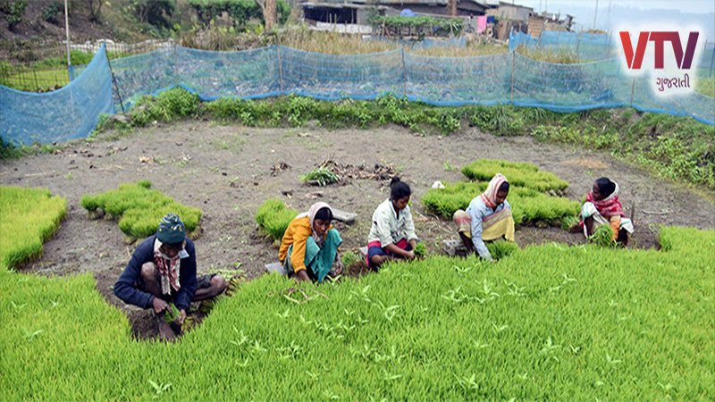 pm kisan_0.jpg
