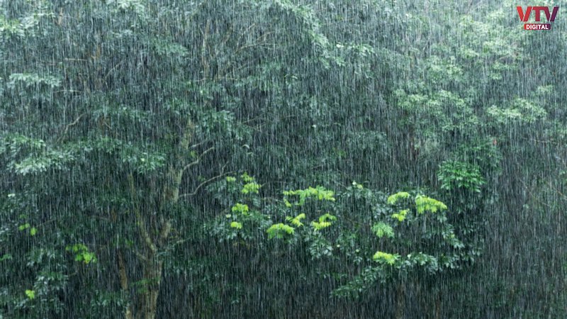 rain-strom