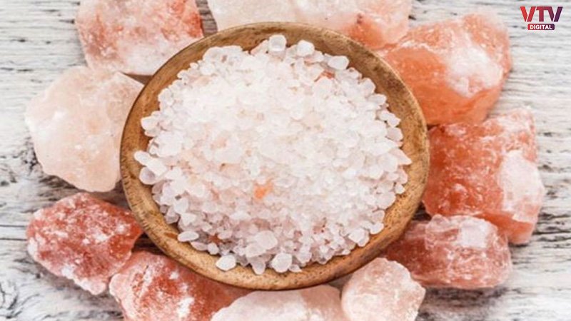 salt-new-logo
