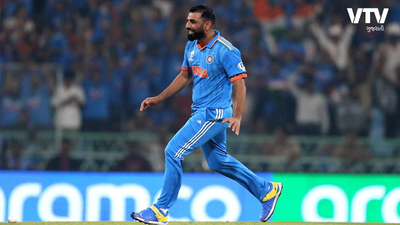shami-3.gif