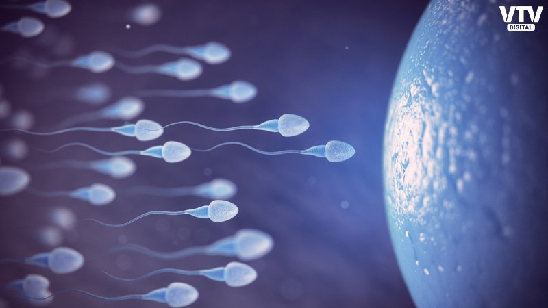 sperm-caount-3