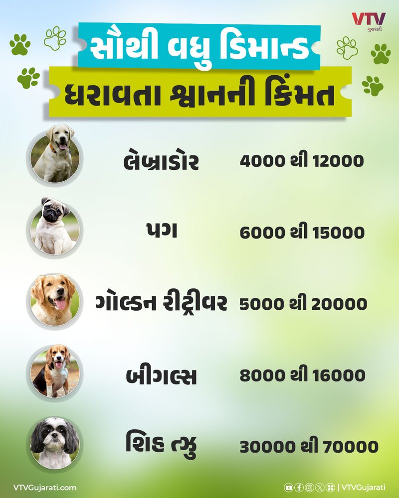 સૌથી-વધુ-ડિમાન્ડ-ધરાવતા-શ્વાનની-કિંમત