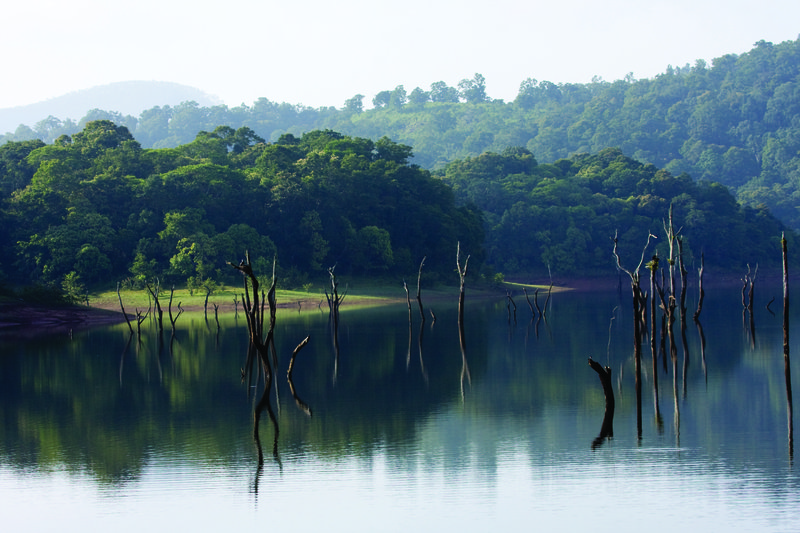 thekkady