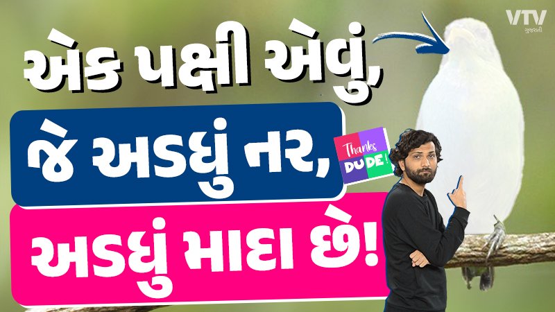 article-logo
