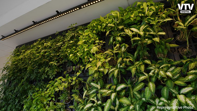verticle-farming-1