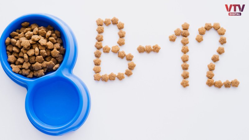 vitamin b12 new logo