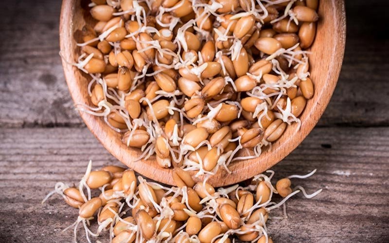 wheat1.jpg