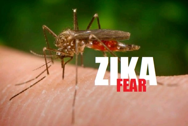 zika-virus.png