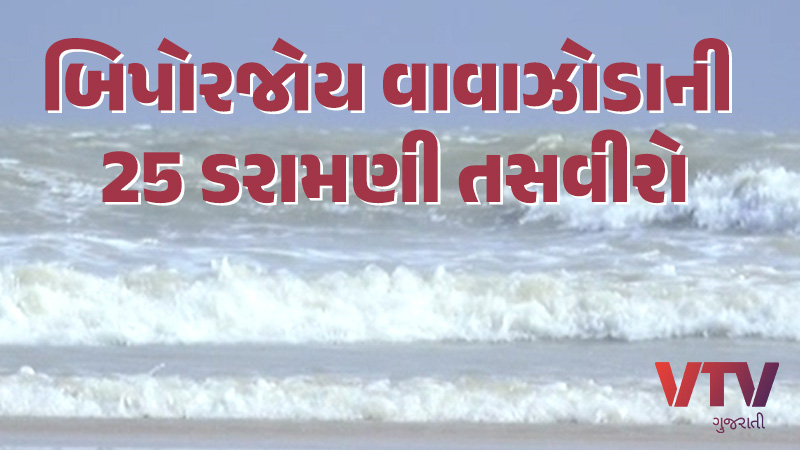 article-logo