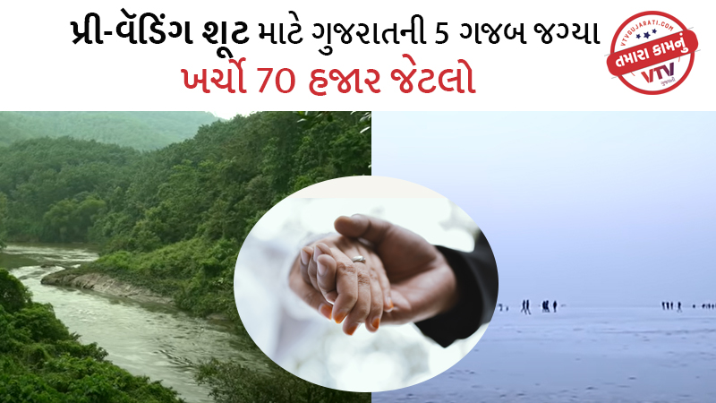 article-logo