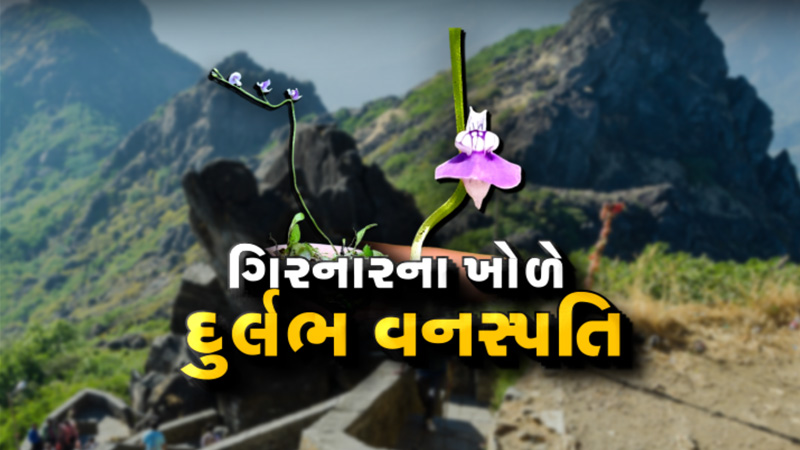 article-logo