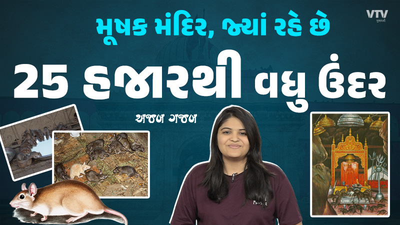 article-logo