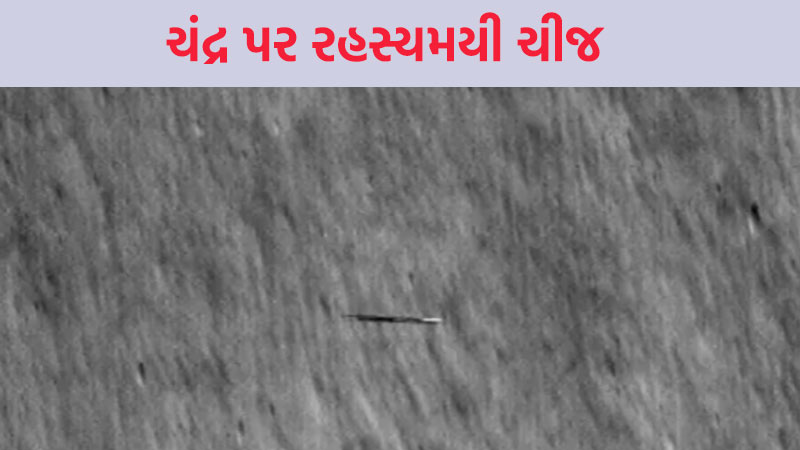 article-logo