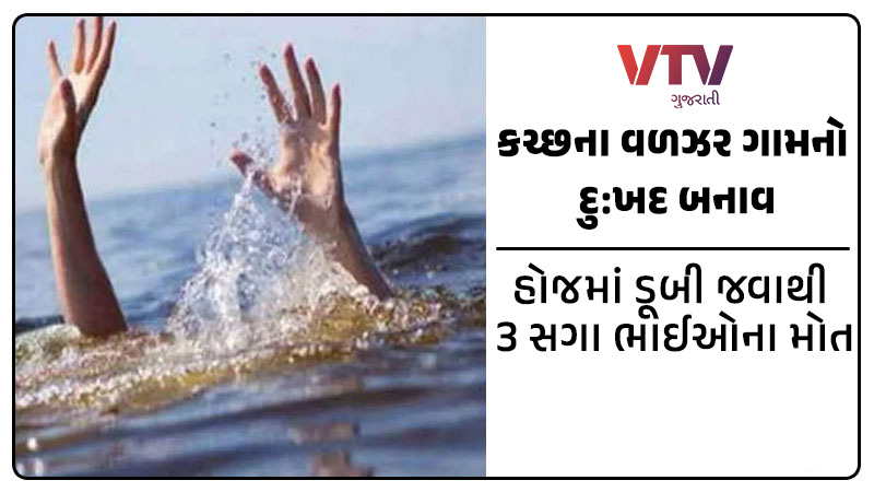 article-logo