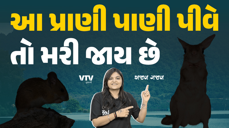 article-logo