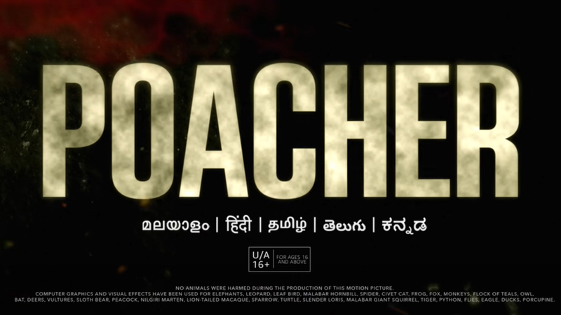 article-logo