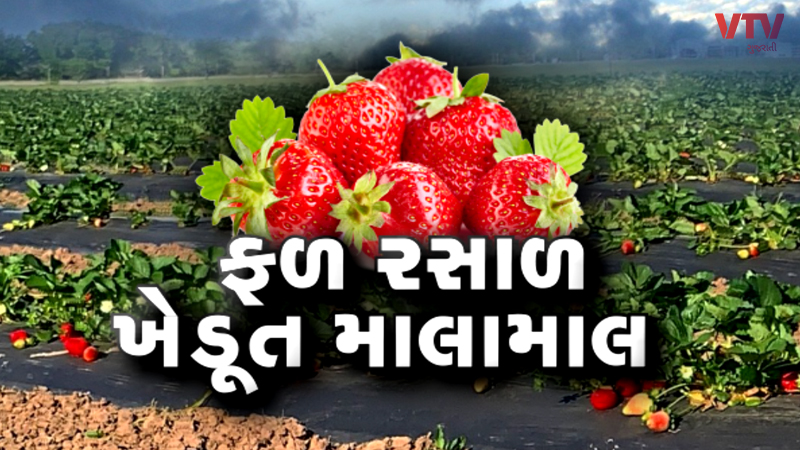 article-logo