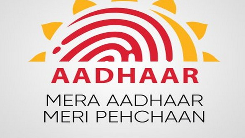 article-logo