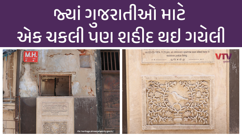 article-logo