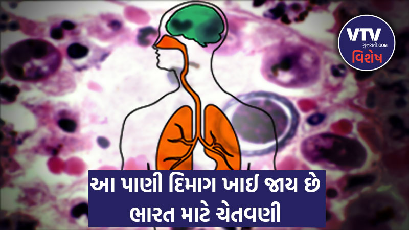article-logo