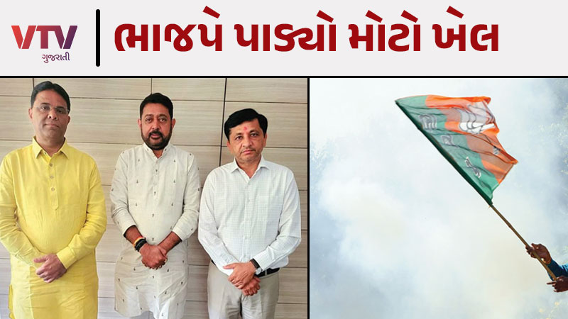 article-logo