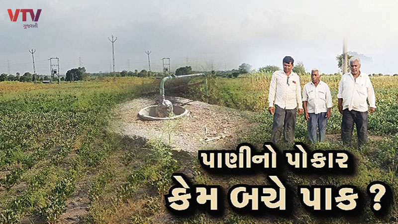 article-logo